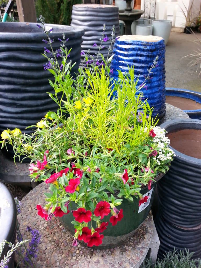 colorful custom planter Sloat Garden Center