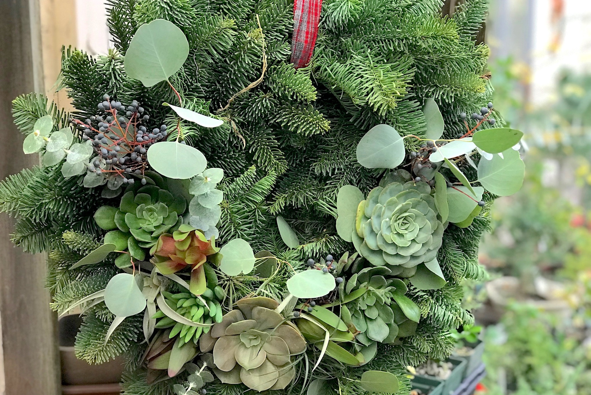 succulent wreath